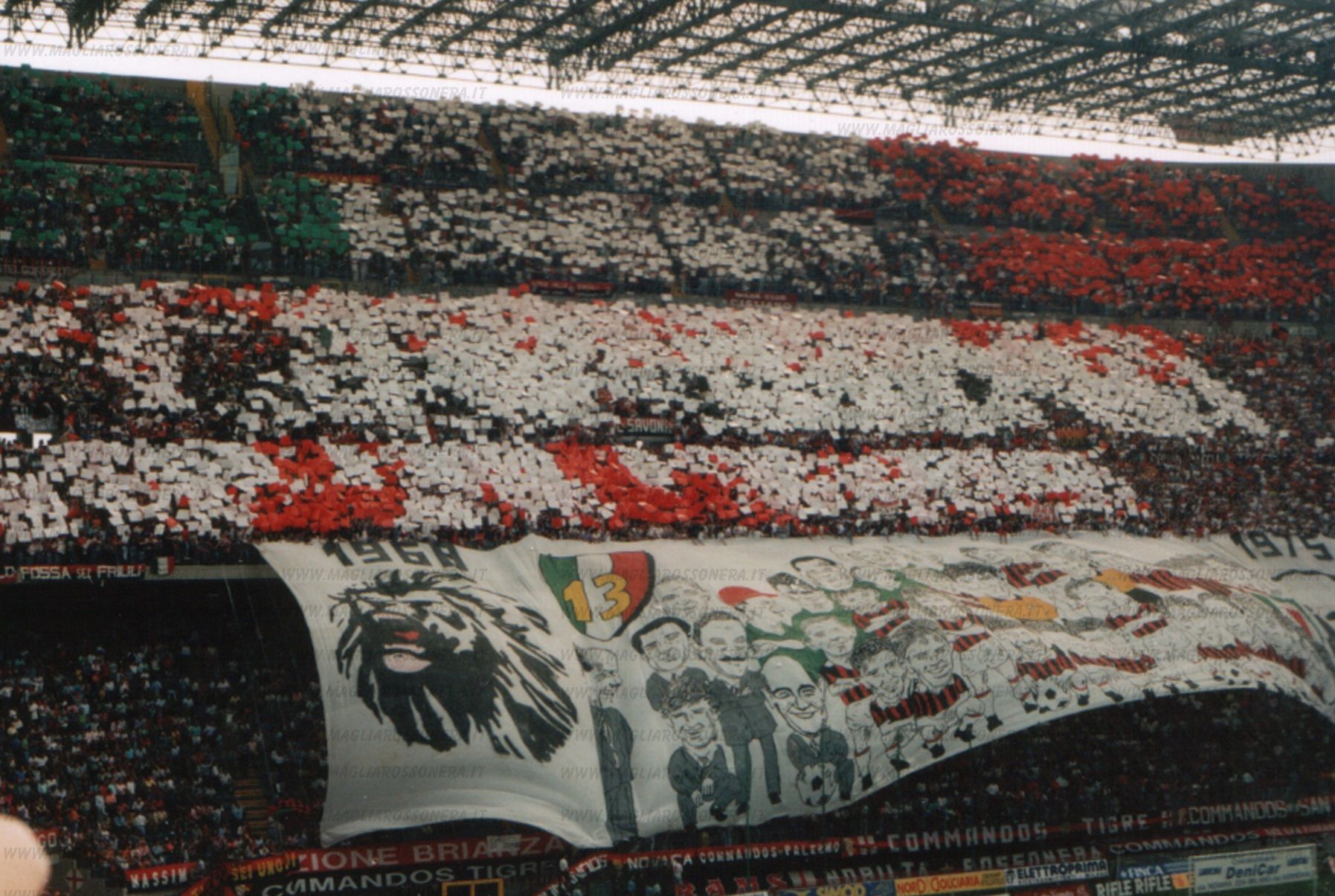 由泳项目上 由泳项目上